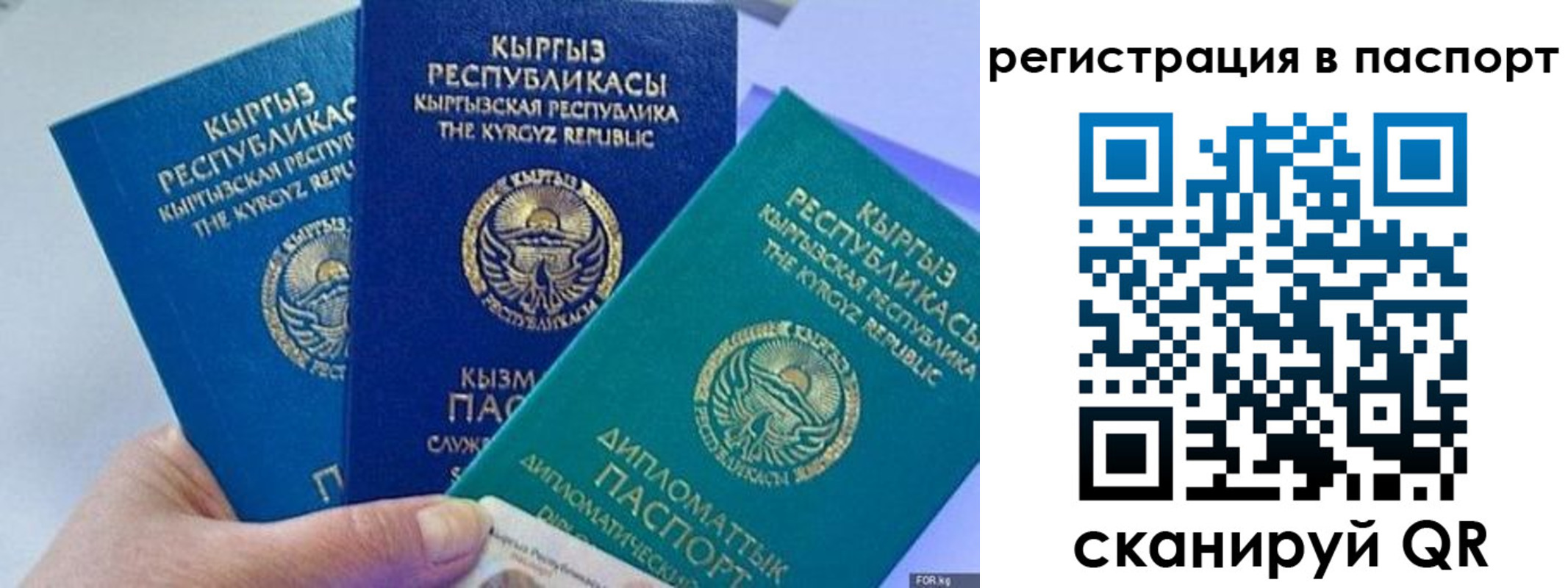 прописка 2025 в Нижнекамске